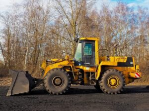 Bygg en hundgård på tomten